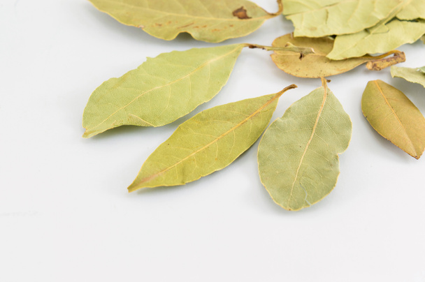 лавровые листья на белом столе
 - Фото, изображение