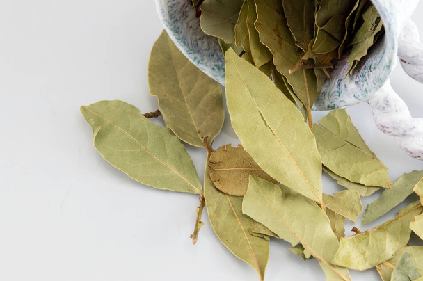 foglie di alloro su tavolo di legno bianco
 - Foto, immagini