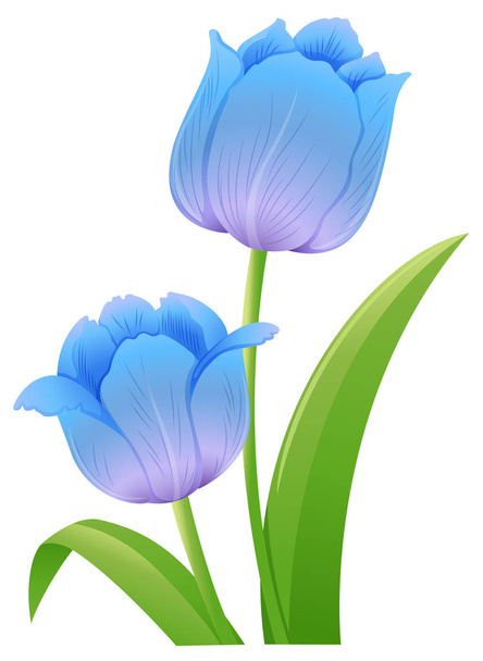 Błękitne tulipany na białym tle - Wektor, obraz