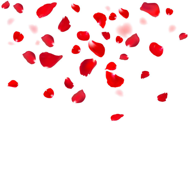 赤いバラの花びら - ベクター画像