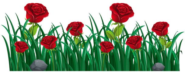 Красные розы в кустах
 - Вектор,изображение
