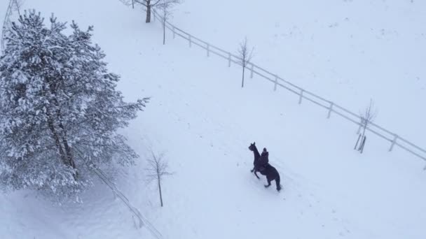 AERIAL: Young woman horseback riding a horse in winter wonderland - Footage, Video
