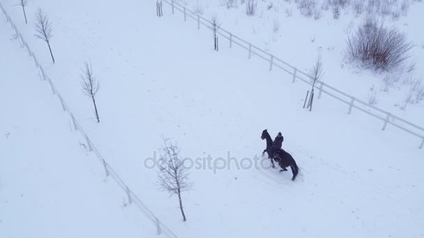 航空写真: 若い女性ライダー乗馬馬の冬のワンダーランド - 映像、動画