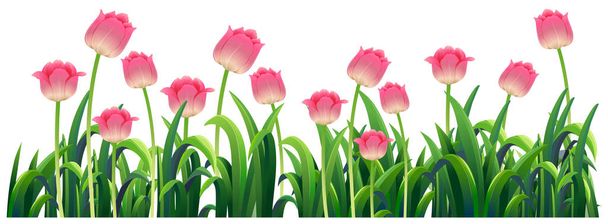 Tulipani rosa in giardino - Vettoriali, immagini