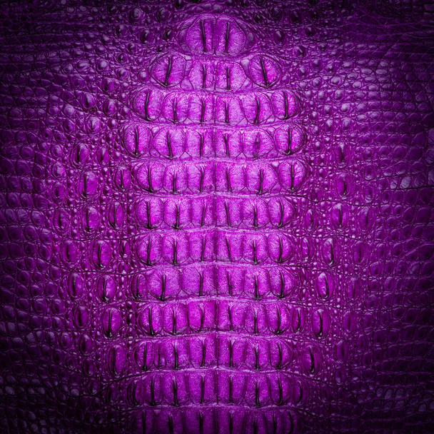 Freshwater crocodile purple bone skin texture - Photo, Image