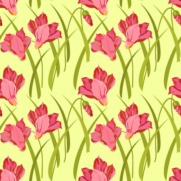 pattern with exotic potted cyclamen flower - Vector, imagen