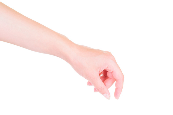 female hand isolated - Photo, image