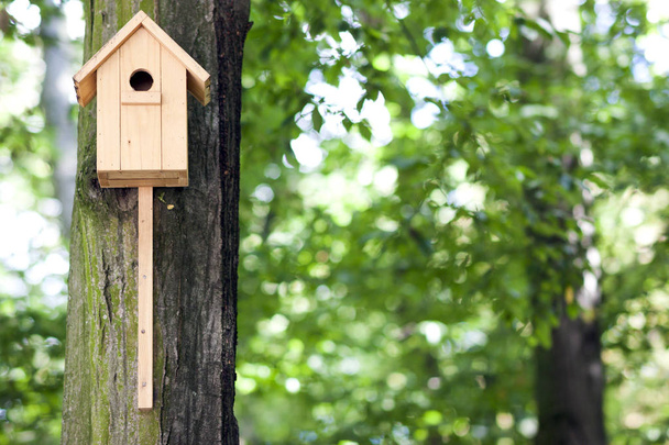 Casa de pájaros amarillos de madera o caja de anidación en un árbol en el parque de verano
 - Foto, Imagen