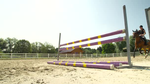 SLOW MOTION : Jeune cavalière sautant par-dessus une barrière dans l'arène extérieure
 - Séquence, vidéo