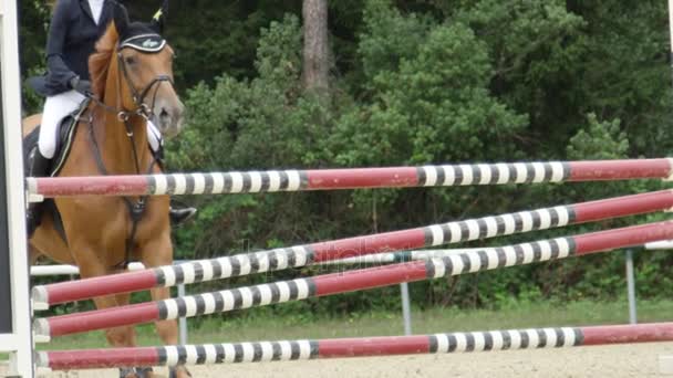 SLOW MOTION : Cavalier méconnaissable et cheval sautant une clôture dans un événement équestre
 - Séquence, vidéo