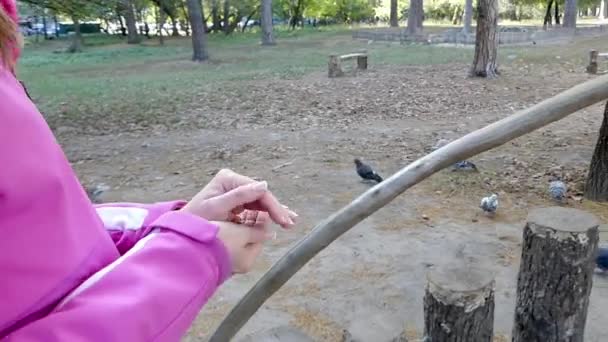 Miła dziewczyna stawia ziarna w drewniany Karmnik karmić gołębie w lesie - Materiał filmowy, wideo
