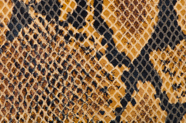 Snake Skin Leather Texture - Fotoğraf, Görsel