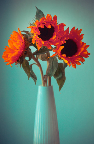 bright orange sunflowers  - Фото, зображення