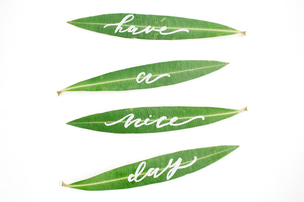 Palavras caligráficas "Tenha um bom dia" escritas em folhas verdes
 - Foto, Imagem