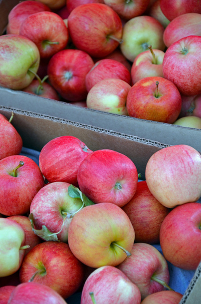 Kisten mit frischen Äpfeln - Foto, Bild