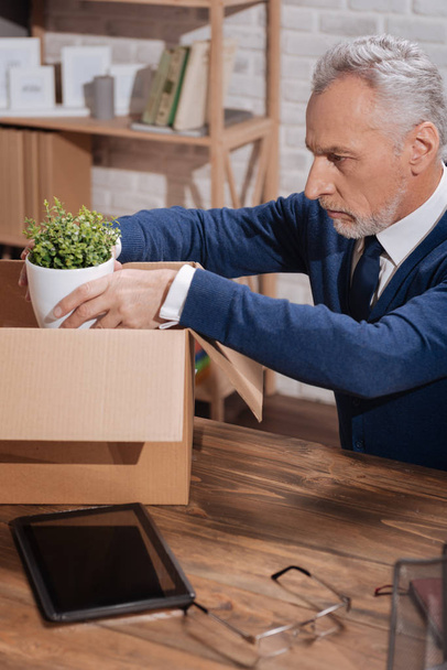 Thoughtful sad businessman packing away his plant - 写真・画像