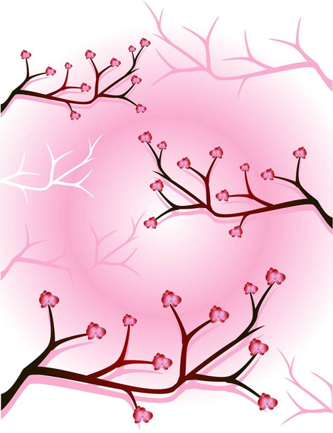 Illustration of sakura on a pink background - Vettoriali, immagini