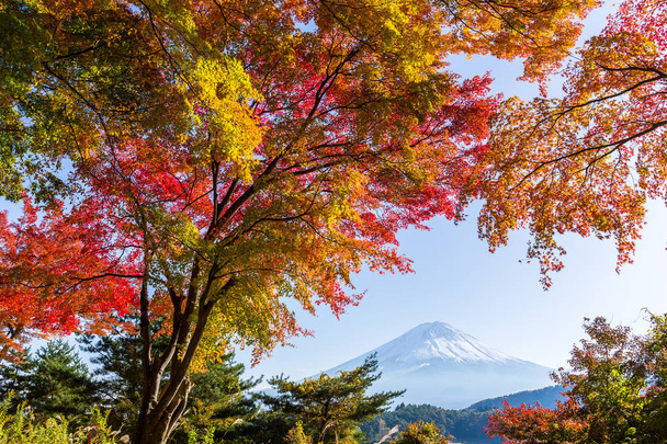 Herbstzeit und Berg-Fuji  - Foto, Bild