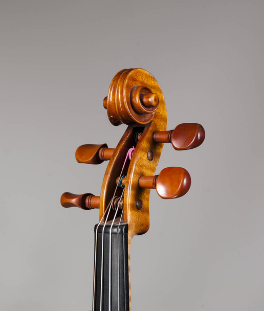 Βιολί κεφάλι με καμπύλη - Φωτογραφία, εικόνα