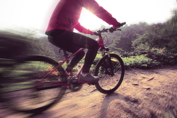 riding mountain bike  - Foto, Imagen