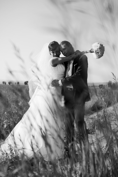 Svatební pár. černá a bílá - Fotografie, Obrázek