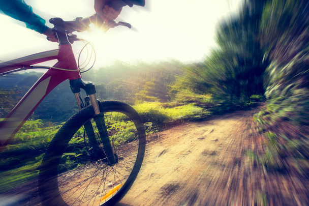 montar bicicleta de montaña  - Foto, imagen