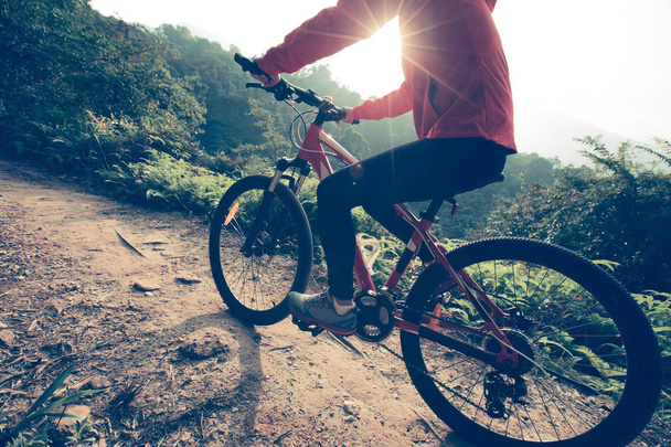 riding mountain bike  - Foto, Bild