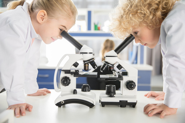 Schoolchildren using microscopes     - Photo, Image