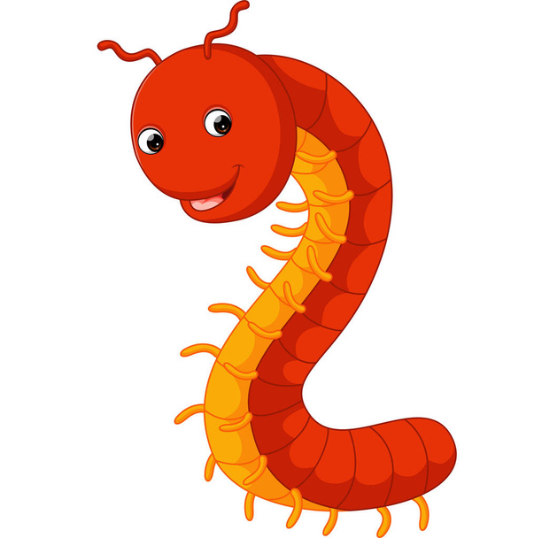 cute millipede cartoon - Вектор,изображение