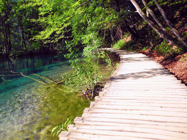 Wooden footpath near the lake. - Photo, Image
