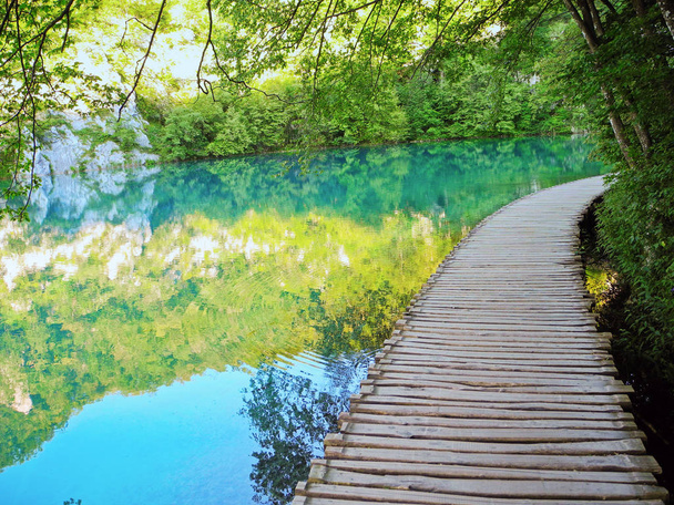 Wooden footpath above the lake. - Photo, Image