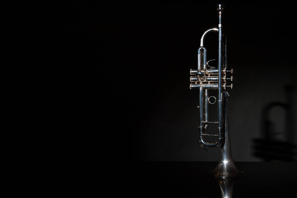 самотній музичний інструмент, який є трубою на чорному фоні
 - Фото, зображення