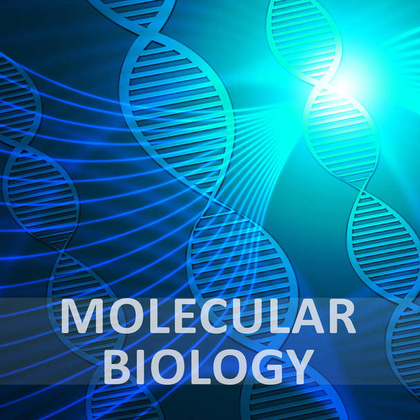 Молекулярная биология означает исследование ДНК 3d Иллюстрация
 - Фото, изображение