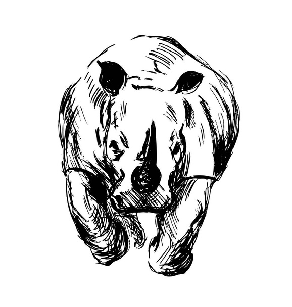 Hand sketch of the running rhino - Vector, imagen