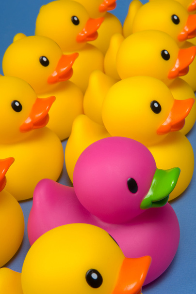 Dare to be different - rubber ducks on blue - Zdjęcie, obraz