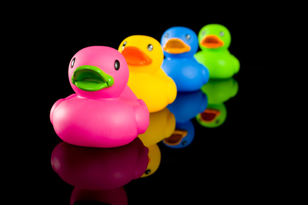 Colorful Ducks on Black - Zdjęcie, obraz