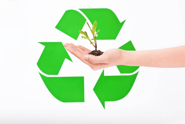 Little plant in hand with the recycling symbol - Foto, imagen