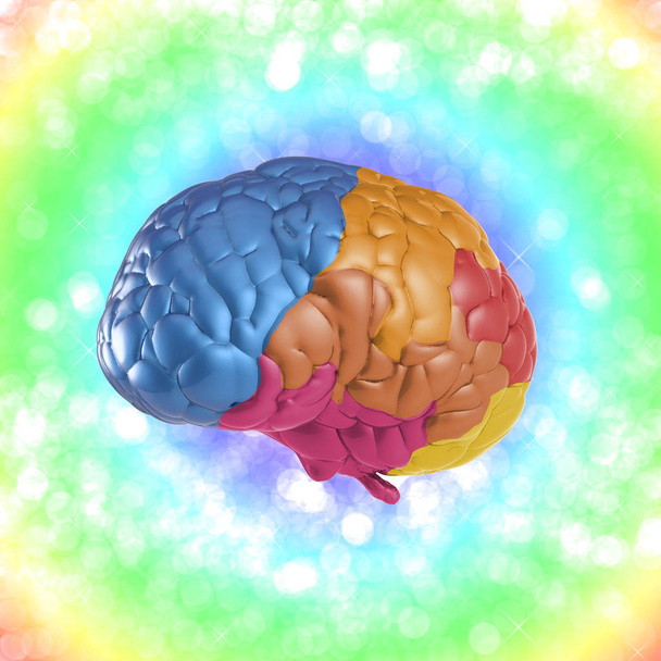 πολύχρωμο εγκεφάλου για δημιουργικότητα έννοια - Φωτογραφία, εικόνα