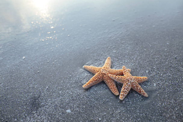 Sahilde deniz yıldızı çifti - Fotoğraf, Görsel