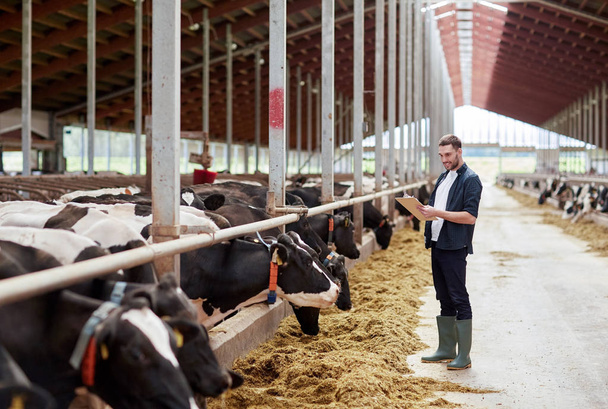 man with clipboard and cows at dairy farm cowshed - Zdjęcie, obraz