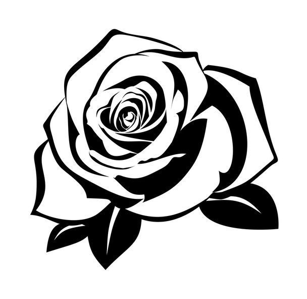 Fekete rózsa sziluett levelekkel. Vektorillusztráció. - Vektor, kép