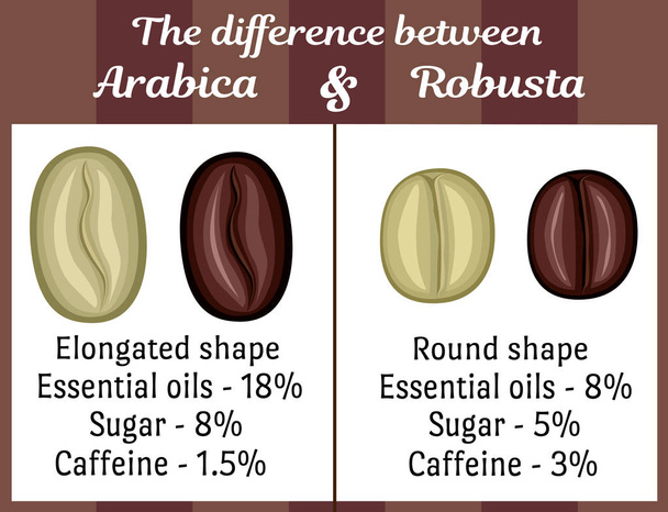 Het verschil tussen de Arabica en Robusta - Vector, afbeelding