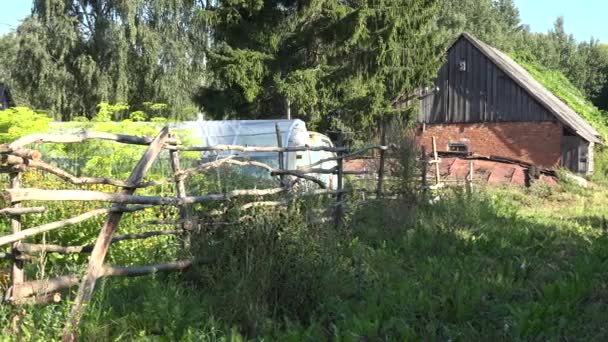 Landgarten überwuchert Gras und Holzzaun im Sommer. 4k - Filmmaterial, Video