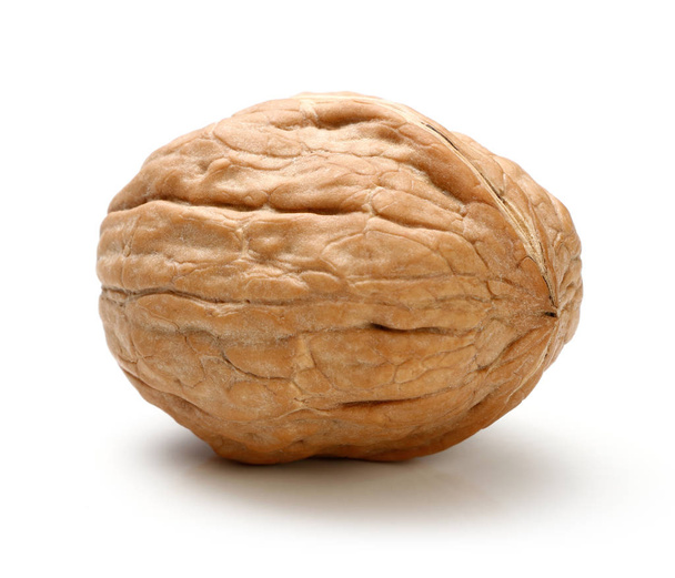 celý ořech, samostatný - Fotografie, Obrázek