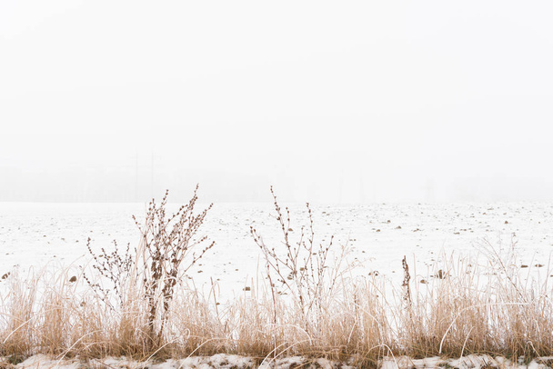 misty winter in the snow field - Фото, изображение