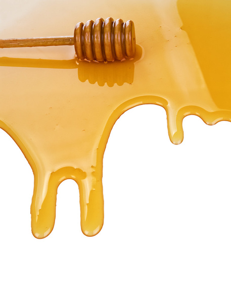 Puddle of honey - Photo, Image