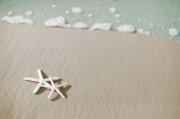 Paire d'étoiles de mer sur la plage
 - Photo, image