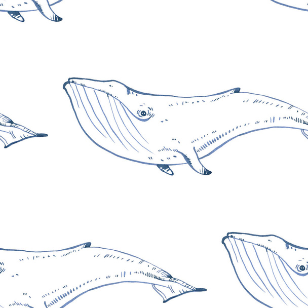 illustrazione acquerello balena
 - Foto, immagini