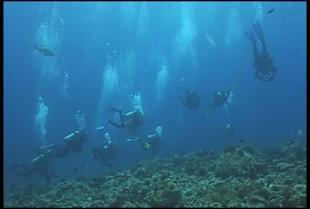 Mergulhador scooter mergulho vídeo subaquático
 - Filmagem, Vídeo
