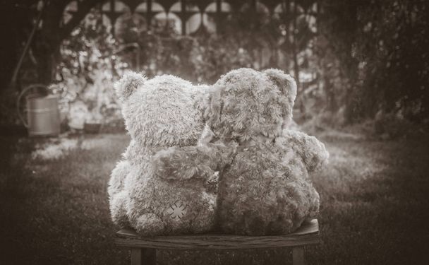 Cute Teddy bears - Foto, afbeelding